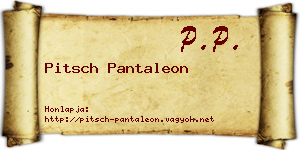 Pitsch Pantaleon névjegykártya